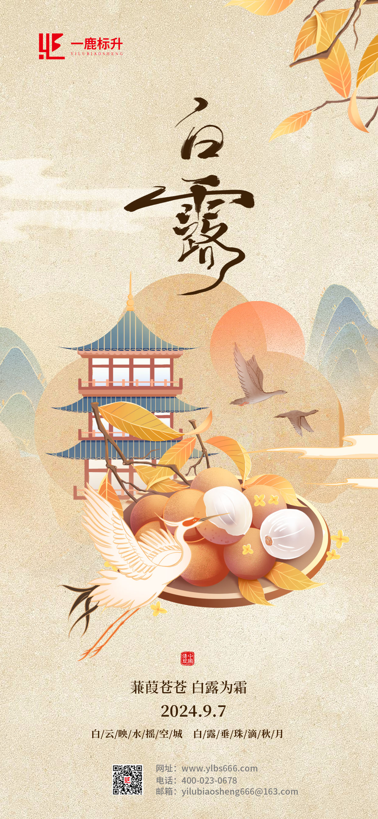白露.jpg
