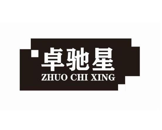 卓驰星黑白.jpg
